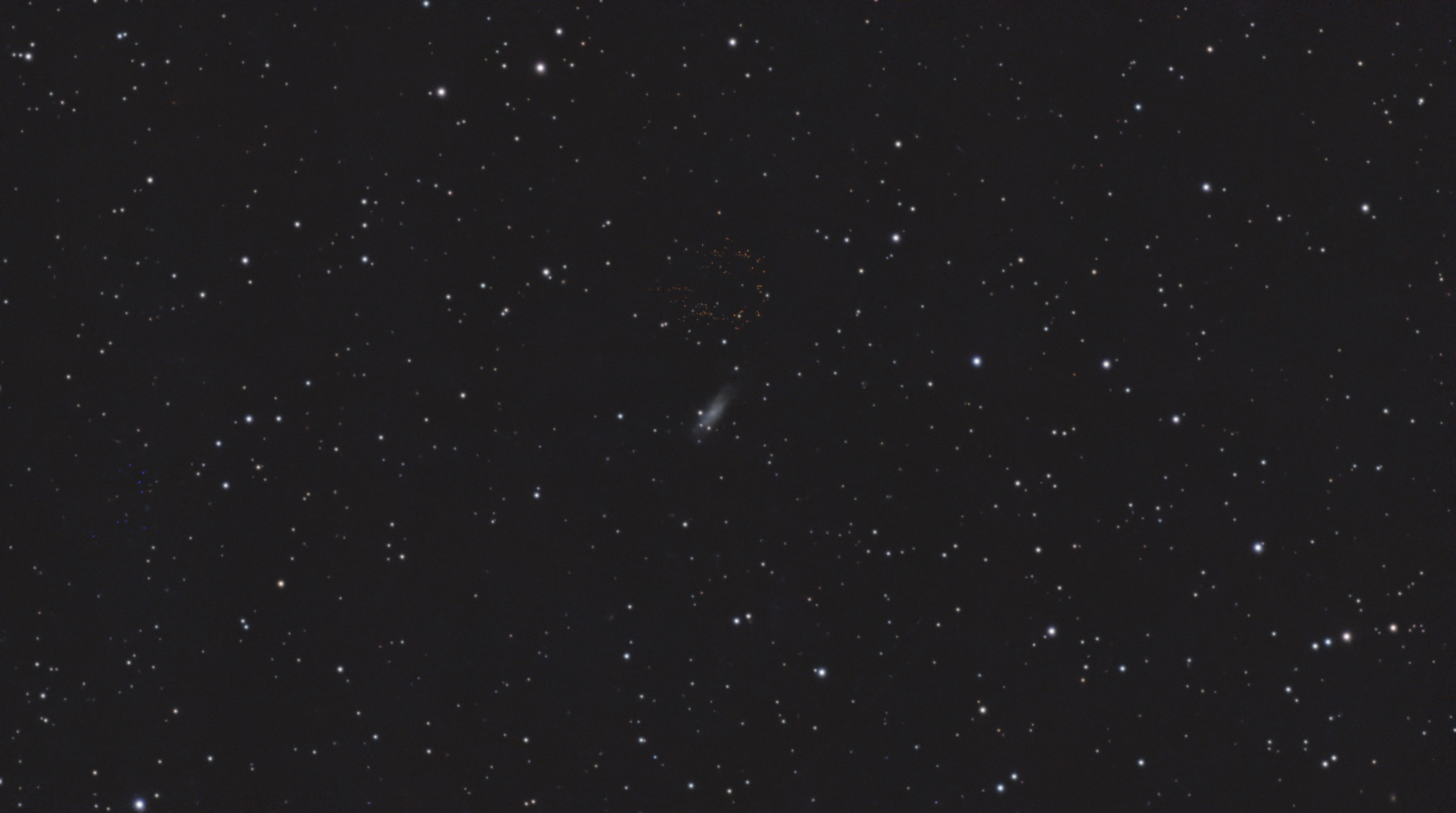 C36